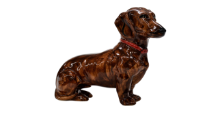 Dachshund Kajtek hunting dog (A461 DR)