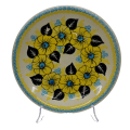 A113 UKRAINE2