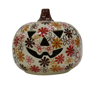 Large pumpkin II (A271 D63)