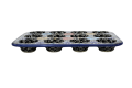 A169 D66
