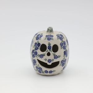 Small pumpkin Big Brother (A446 D16)    