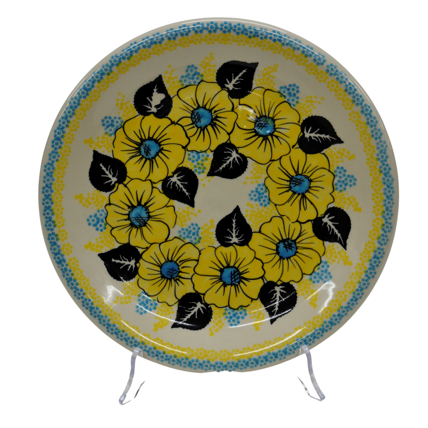 A113 UKRAINE2